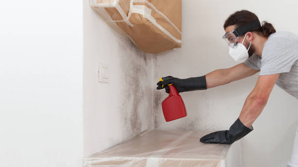 Professional Mold Removal technician working in Chester, VA