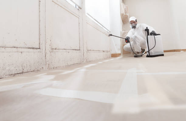 24/7 Emergency Mold Removal experts in Chester, VA